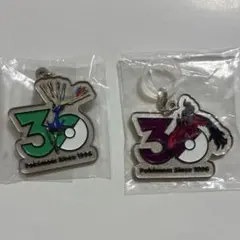ポケモン 30周年 メタルチャームマスコット 〜シンオウ、イッシュ、カロス〜