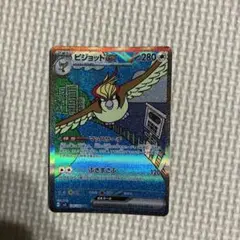 ピジョットex SAR
