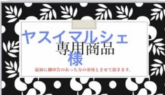 A387熱帯果樹 アセロラ苗⭐トロピカルフルーツビタミンCの王様♥️沖縄