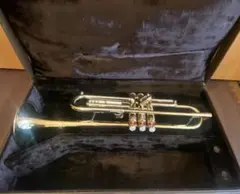 Item thumbnail for item 9285e732-5aa9-40fa-9541-3215f2a60161