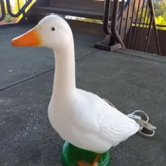 Item thumbnail for item 0cd5ce2e-87ed-4e8b-aa99-0cbb7ca08686