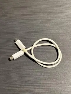 【純正】 apple Thunderbolt2 ケーブル 0.50M