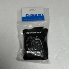 Item thumbnail for item a5a215d1-2c81-4314-9e77-bb9389bcab5b