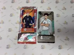 ハイキュー!! チケットライクコレクション 岩泉一