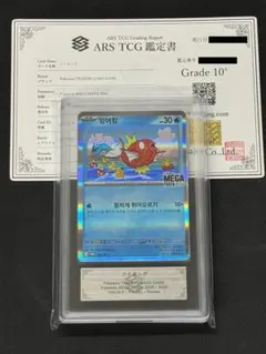 コイキング ARS10 韓国 PSA10相当 メガフェスタプロモポケモンカード②