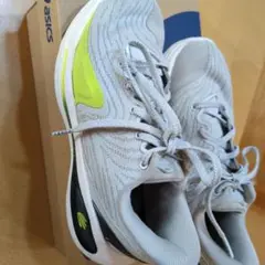 CURRY12 バスケットボールシューズ キッズ