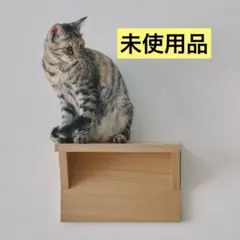 Item thumbnail for item f2b9a782-a2ac-4a6a-afbf-76b05300ae80