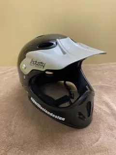 Item thumbnail for item 01183212-37da-4e0c-ae34-173e7014c0e4