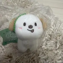 RIIZE アントン モンリョンイ 8cm キーリング　新品未開封