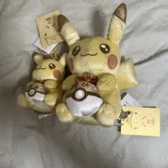ポケモン 30周年記念 ピカチュウ ぬいぐるみ大小2つセット