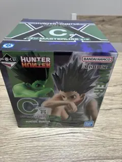 2026年最新】HUNTER×HUNTER フィギュア 一番くじ ゴンの人気アイテム