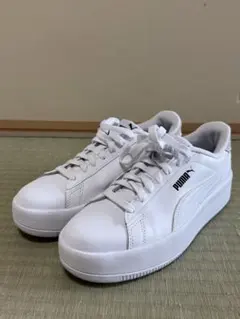 Item thumbnail for item 0ad0f5f2-f6f9-499f-b933-f58ec42f78e7