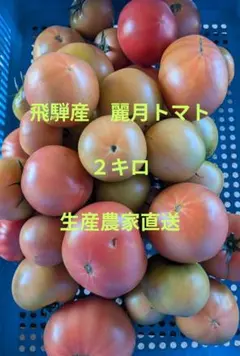 飛騨産 麗月トマト２キロ 　生産農家直送のサムネイル