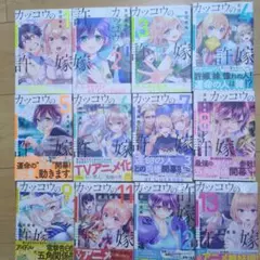 カッコウの許嫁 全25巻セット初版帯付き 特典多数付属 - メルカリ