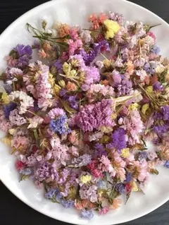 earth day様 リクエスト 2点 まとめ商品