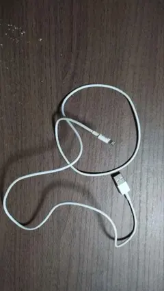 USB Lightning 充電ケーブル 約1メートル