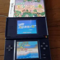 おいでよ どうぶつの森 ニンテンドーDS用ソフト　ケース取説付き