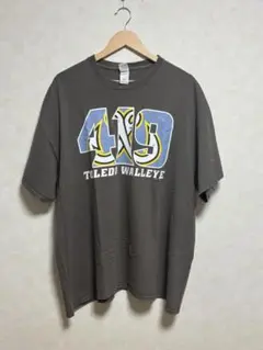 TOLEDO WALLEYE Tシャツ 419 グレー