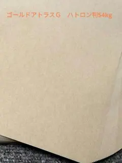 Item thumbnail for item b40de6ef-9339-48b1-8686-922104b98e23