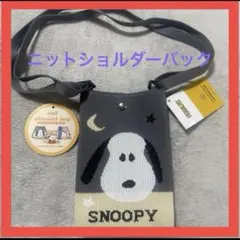 スヌーピー　ニットショルダーバック　グレーのサムネイル