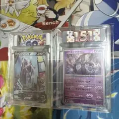 ポケカ　ミュウツーv ミュウツーマスボ　ラベル付ローダー入