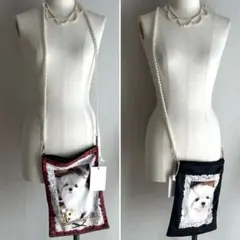 Item thumbnail for item 4ac89151-77b5-41ab-9b00-6ded50ed65dd