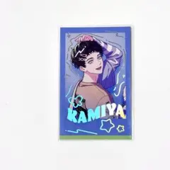 ブレマイ　フォトカ　レア　神家