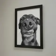 Item thumbnail for item f0655bdb-ba7f-45a9-8552-ff0c847812a2