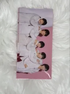 Item thumbnail for item 45689fe4-113d-4f21-84f0-07e6ec1c465d