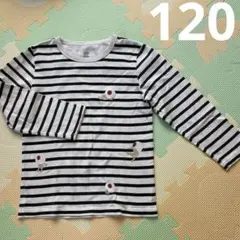 グラニフ　ゲゲゲの鬼太郎 目玉のおやじ　120 長袖 ストライプ