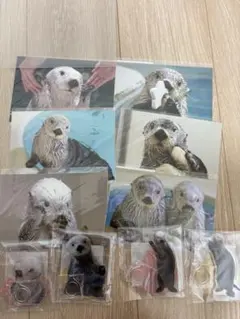 鳥羽水族館 70周年グッズ ラッコセット - メルカリ