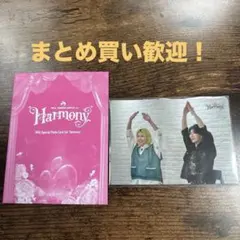 ミセス ハーモニー フォトカ 若井&藤澤 45
