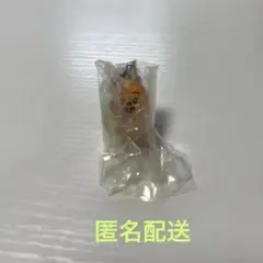 SKZOO めじるしアクセサリー ハンクォッカ HAN QUOKKA ハン