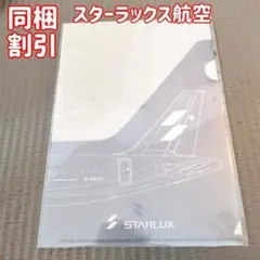 スターラックス航空　クリアファイル　ボールペン　シール　ステッカー　新品未使用 スターラックス航空 クリアファイル ステッカー グッズ9点セット