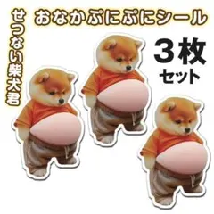 柴犬 おなかシール ステッカー ぷにぷに ぷっくり スクイーズ 小学生 人気