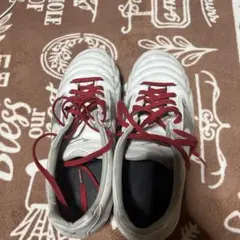 Item thumbnail for item cc493fdc-673a-489d-9303-098ceeace1e8