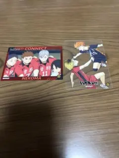 ハイキュー!! ゴミ捨て場の決戦 トレーディングカード 音駒 烏野