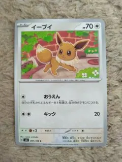 ポケカ イーブイ フレンドリィショップキャンペーン 306/SM-P プロモ