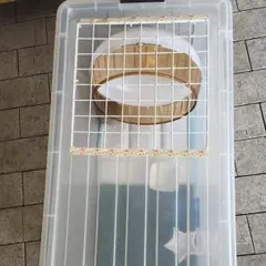 しゅっ 様 専用ページ