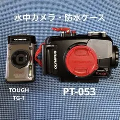 Item thumbnail for item 1111c8c3-cbe4-4a6d-b895-4bab5e94eee9