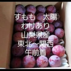 5すもも　太陽　わけあり　箱こみ3.5キロ　山梨県産　午前着のサムネイル