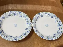 Noritake & NARUMI オーバルプレート 皿 2枚 直径27cm - メルカリ