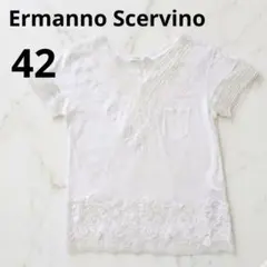 イタリア製 美品 ERMANNO SCERVINO 透かしレース Tシャツ イタリア製 美品 ERMANNO SCERVINO 透かしレース Tシャツ - メルカリ