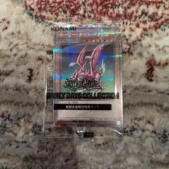 2025年最新】ホーリーナイトドラゴン 傷ありの人気アイテム