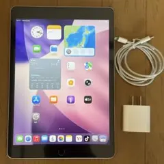 AppleiPad第9世代バッテリー91%綺麗ですのサムネイル