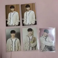 SEVENTEEN セブチ ケレン ディノ トレカ セット