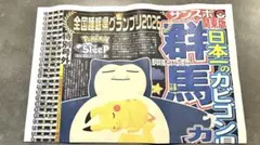 非売品★サンスポ特別号外 関東版★ポケモンスリープ カビゴン
