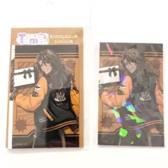 【ツイステ】レオナ Tinymide ユニオンバースデー アニメイト特典付き