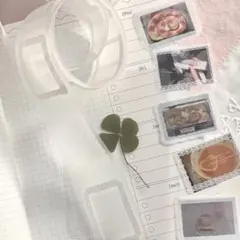 Item thumbnail for item 8b0a5be5-1186-41e7-b1cb-e7ff4e96e092