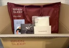 【新品未使用/迅速/送料込】BRAIN SLEEP 枕 ロー カバー付き